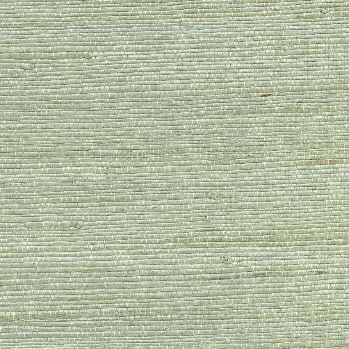 Kiyoshi Light Green Grasscloth Wallpaper - York Wallcoverings - 53-65609