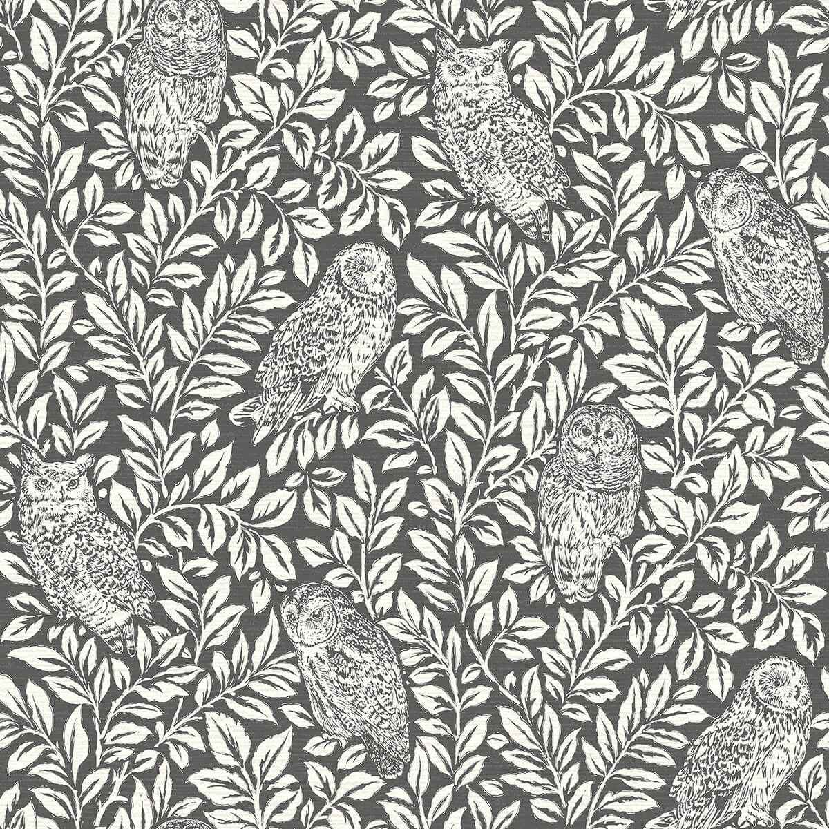 Parliament Charcoal Owl Wallpaper - York Wallcoverings - 3123-12415
