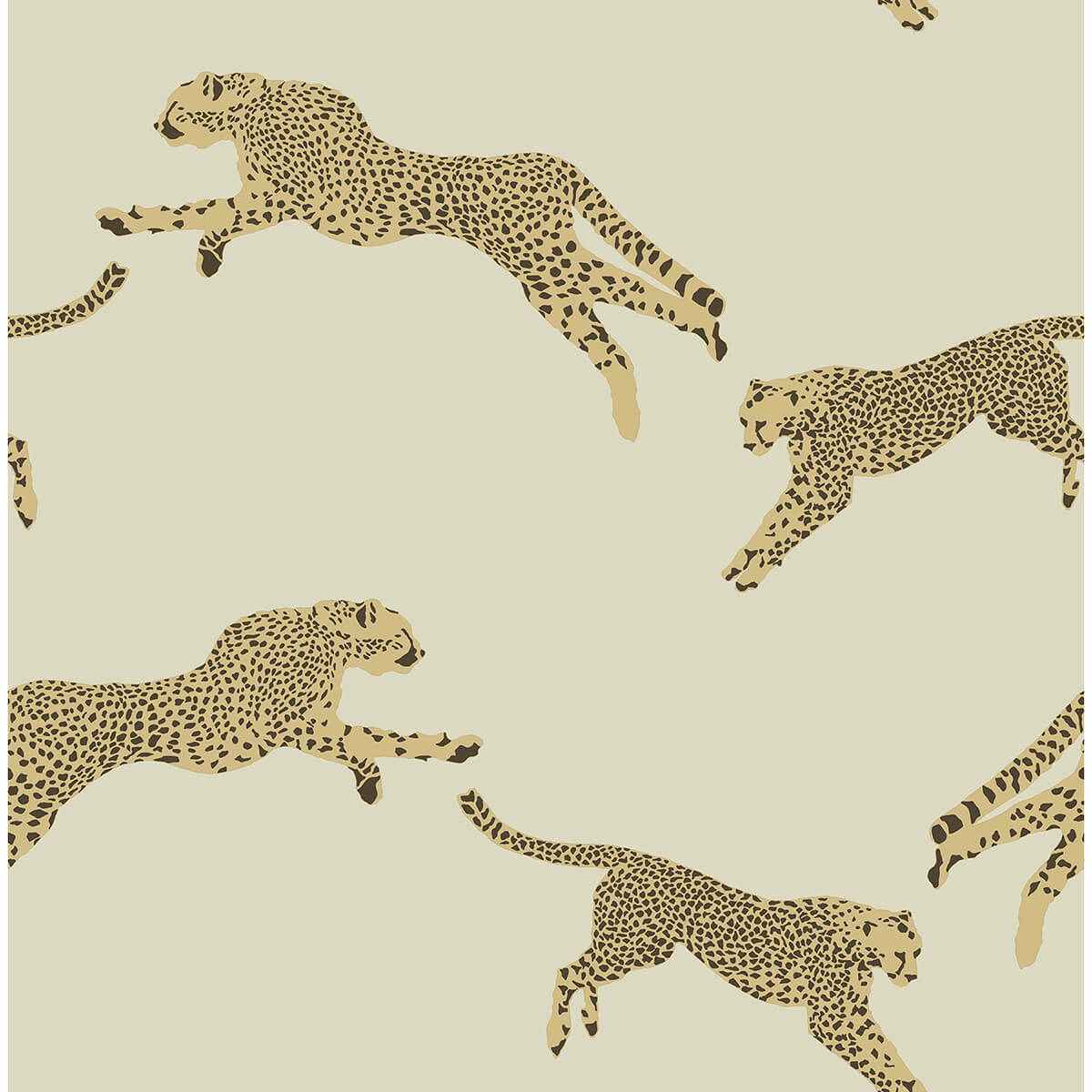 Dune Leaping Cheetah Peel and Stick Wallpaper - York Wallcoverings - SCS4274 - York Wallcoverings Wallpaper