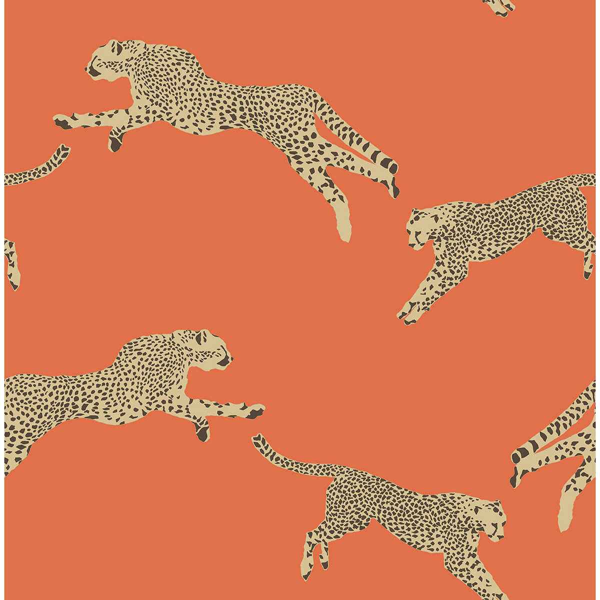 Clementine Leaping Cheetah Peel & Stick - York Wallcoverings - SCS4275