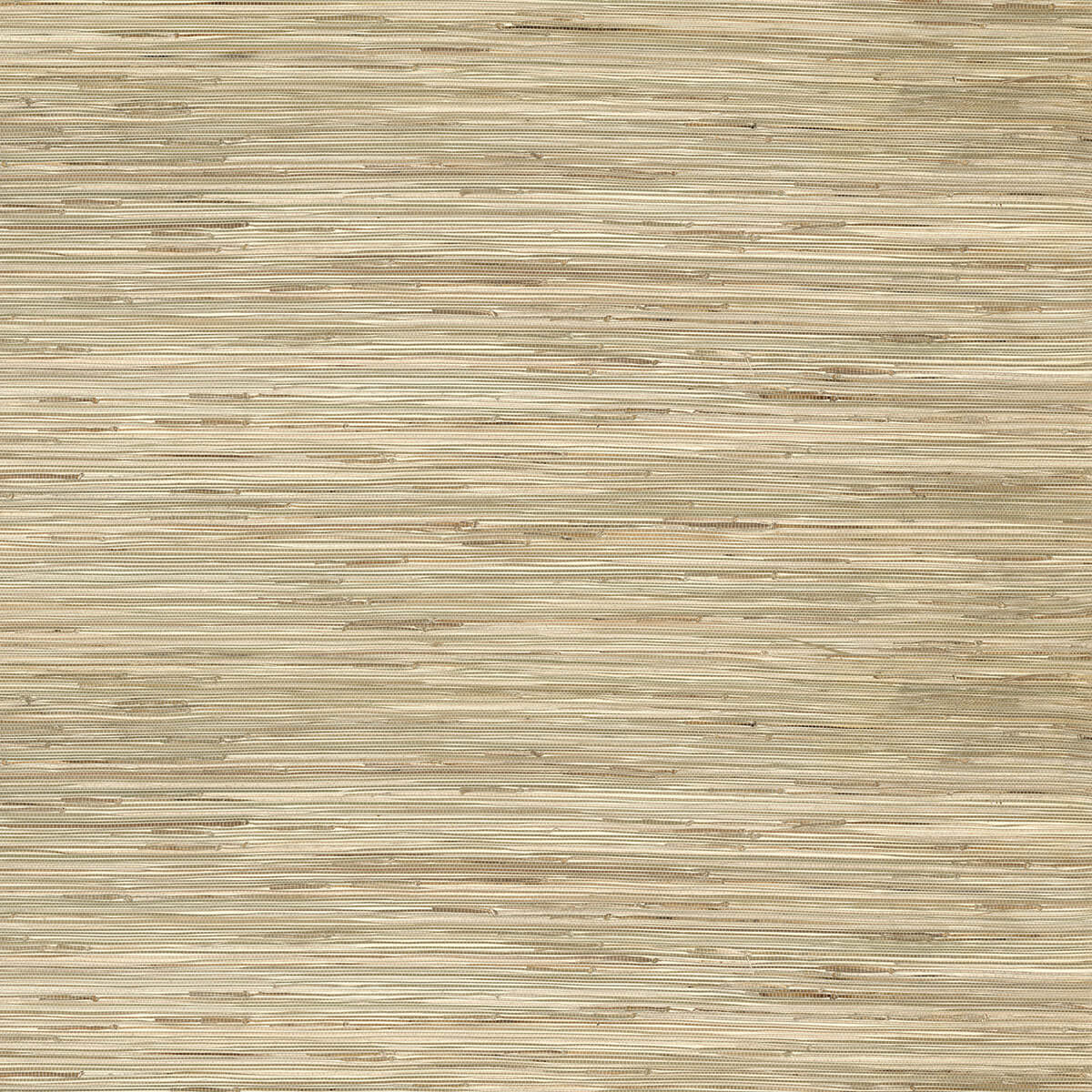 sogen-khaki-knotted-sea-grasscloth-wallpaper-york-wallcoverings-2972-65621
