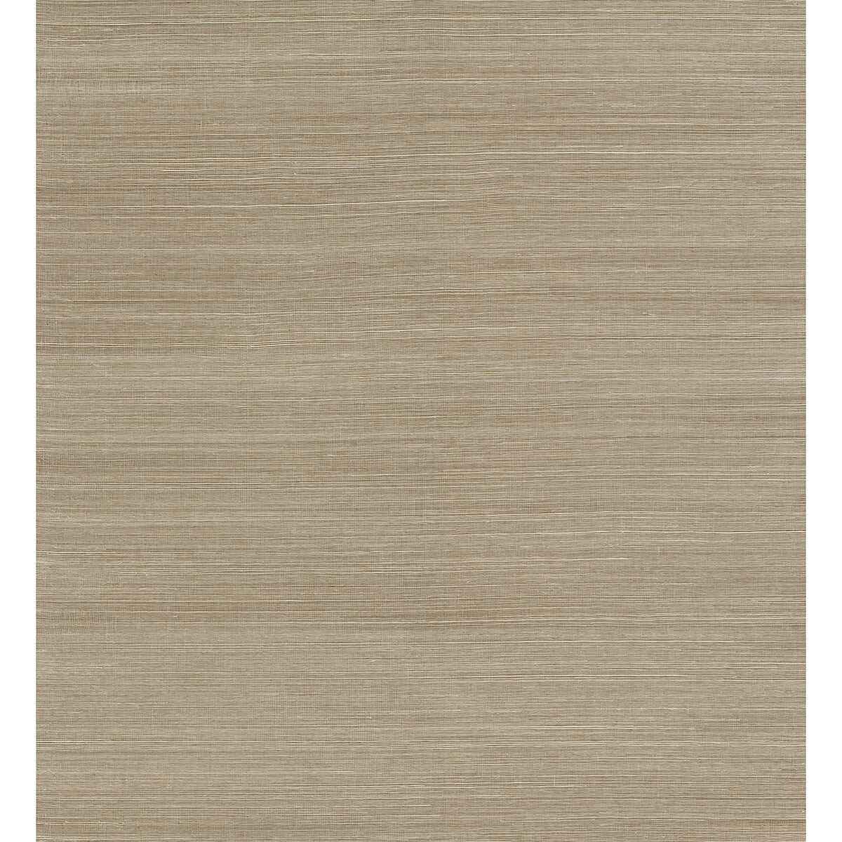 Sakiya Neutral Sisal Grasscloth Wallpaper - York Wallcoverings - 2972-86136