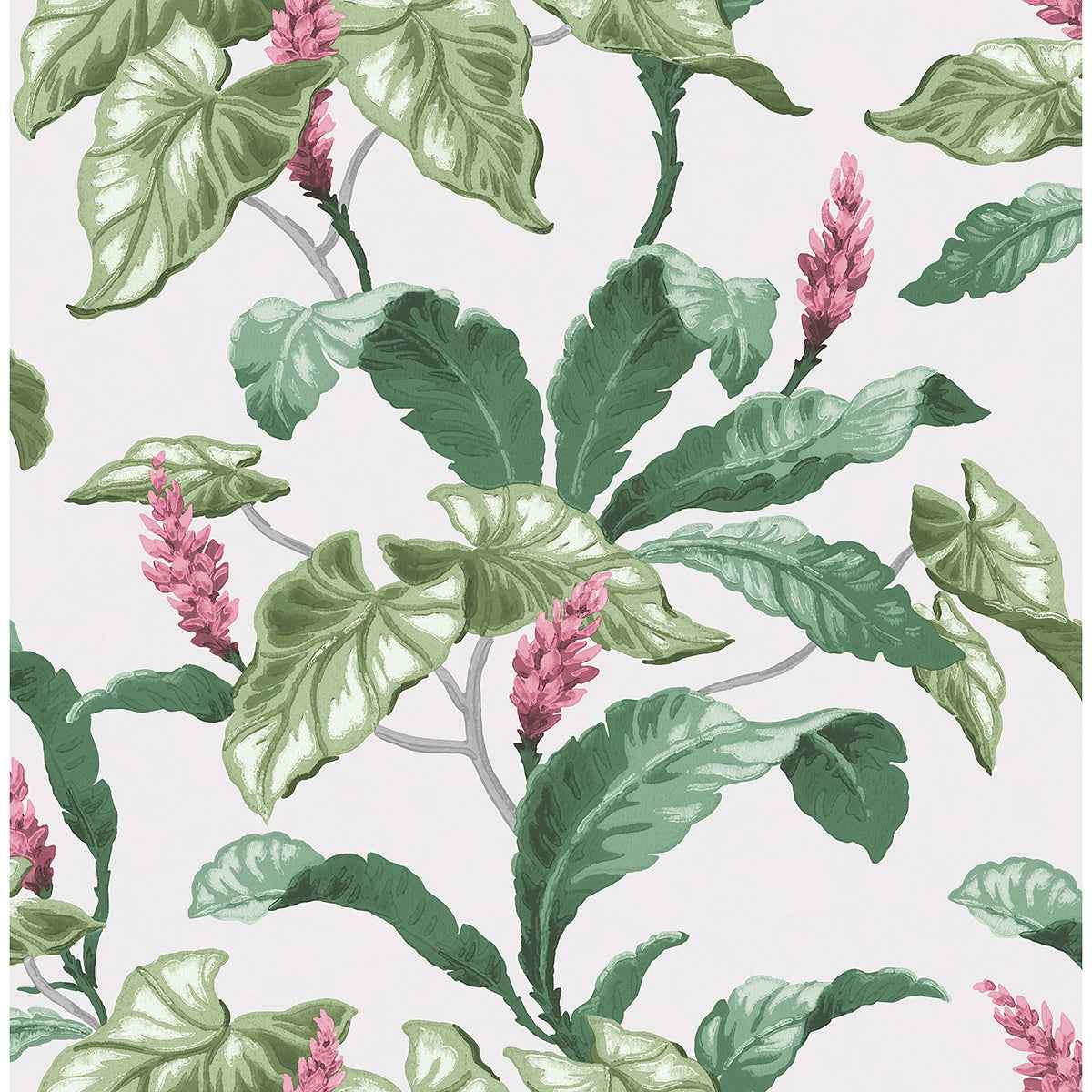 Meridian Parade Green Tropical Leaves Wallpaper - York Wallcoverings - M1692 - York Wallcoverings Wallpaper