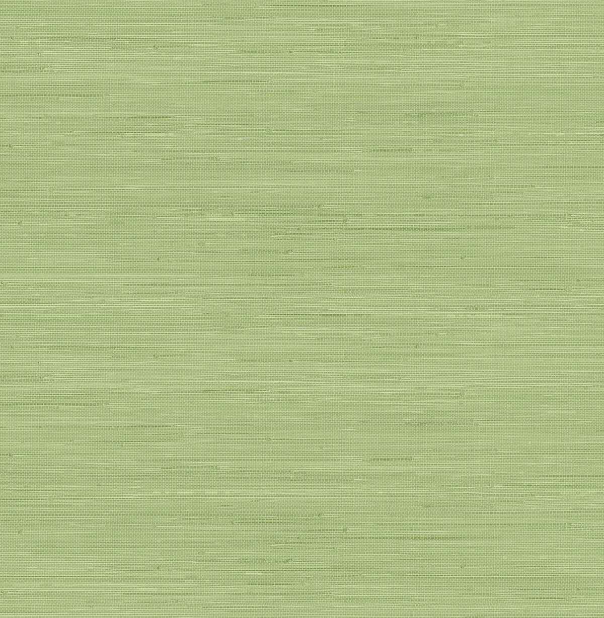 Citrus Green Classic Faux Grasscloth - York Wallcoverings - SSS4569 - York Wallcoverings Wallpaper