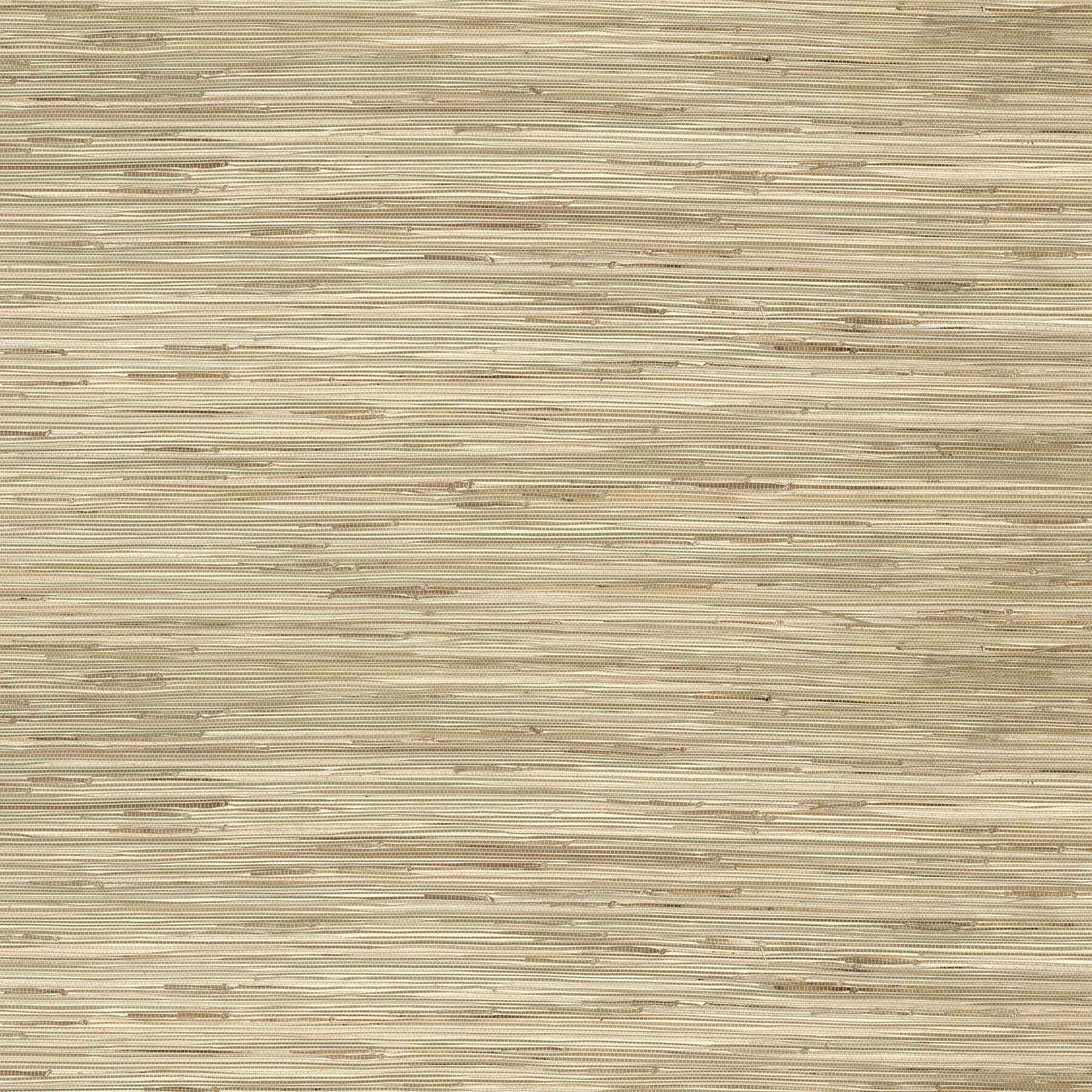 Sogen Neutral Knotted Grasscloth Wallpaper - York Wallcoverings - 2923-65621 - York Wallcoverings Wallpaper