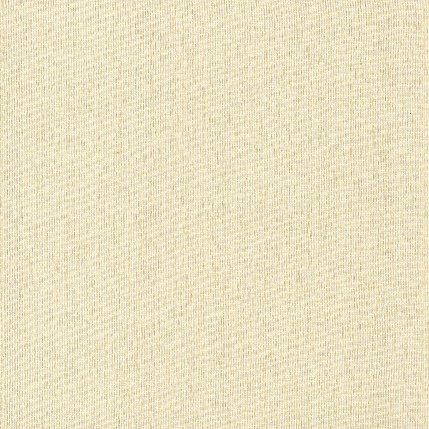 biyu-white-paper-weave-wallpaper-york-wallcoverings-2923-88008ast