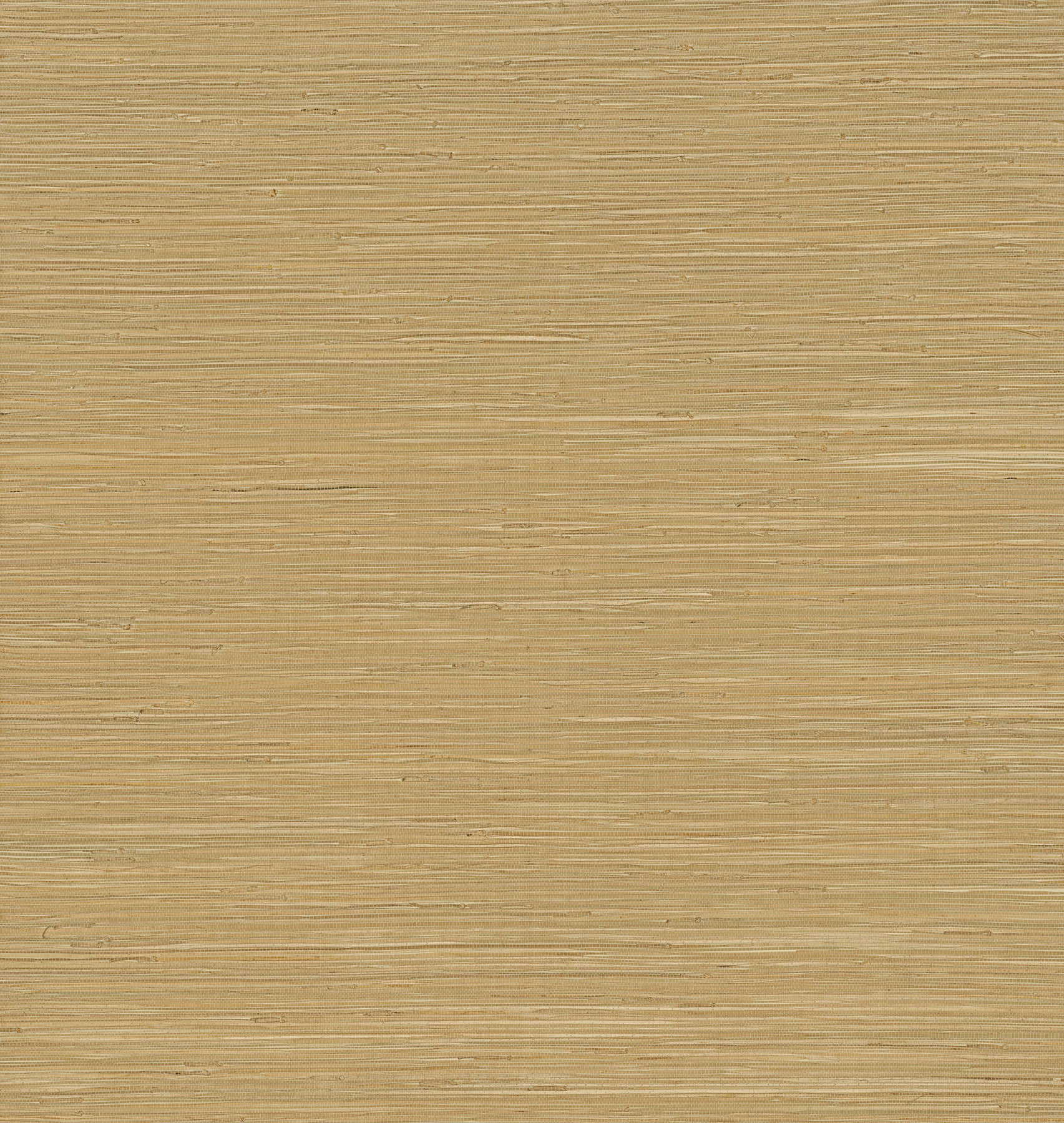 zhilan-olive-grasscloth-wallpaper-york-wallcoverings-2923-88045