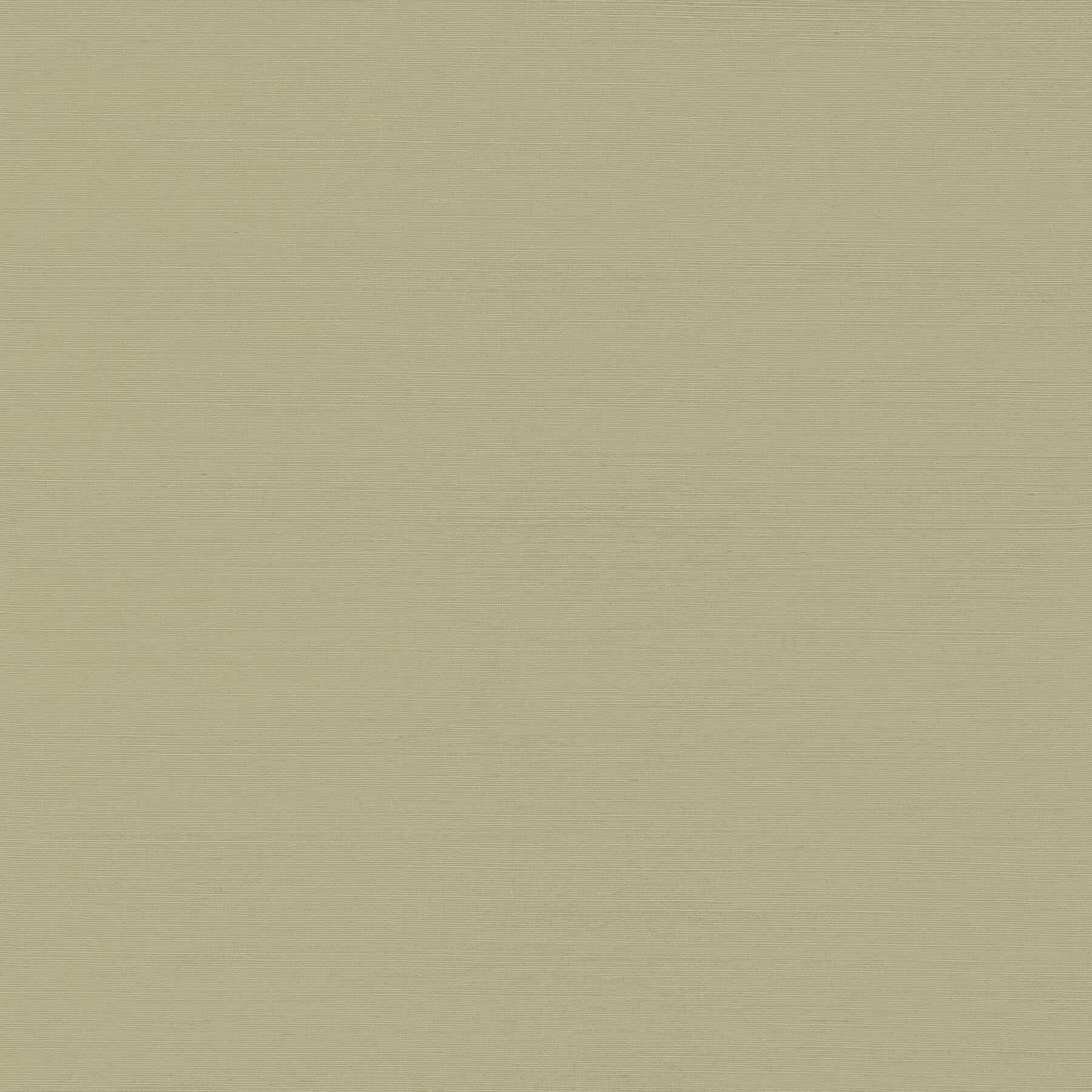 Yunri Sage Sisal Grasscloth Wallpaper - York Wallcoverings - 2923-88050 - York Wallcoverings Wallpaper