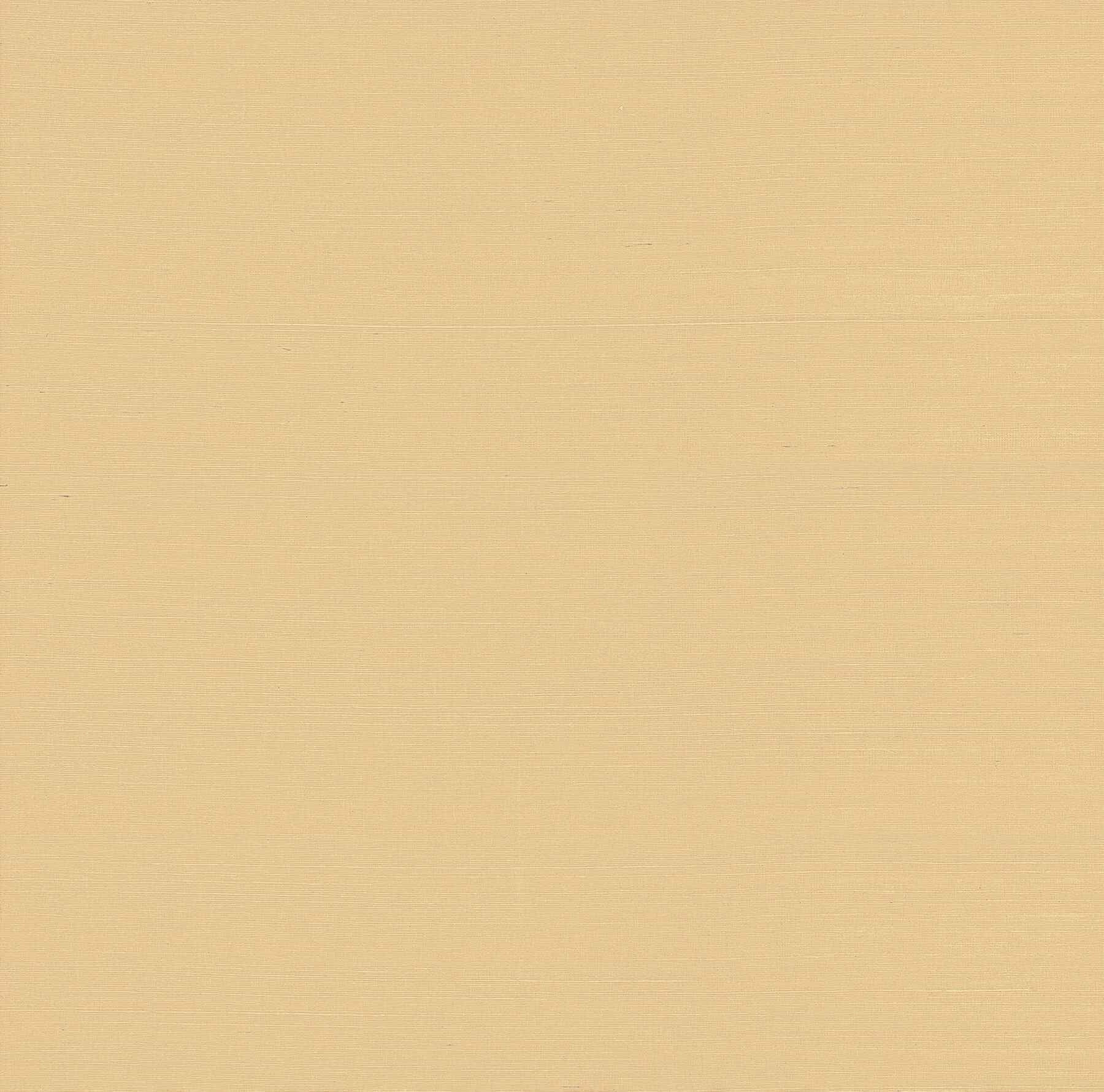 Weici Apricot Sisal Grasscloth Wallpaper - York Wallcoverings - 2923-88052