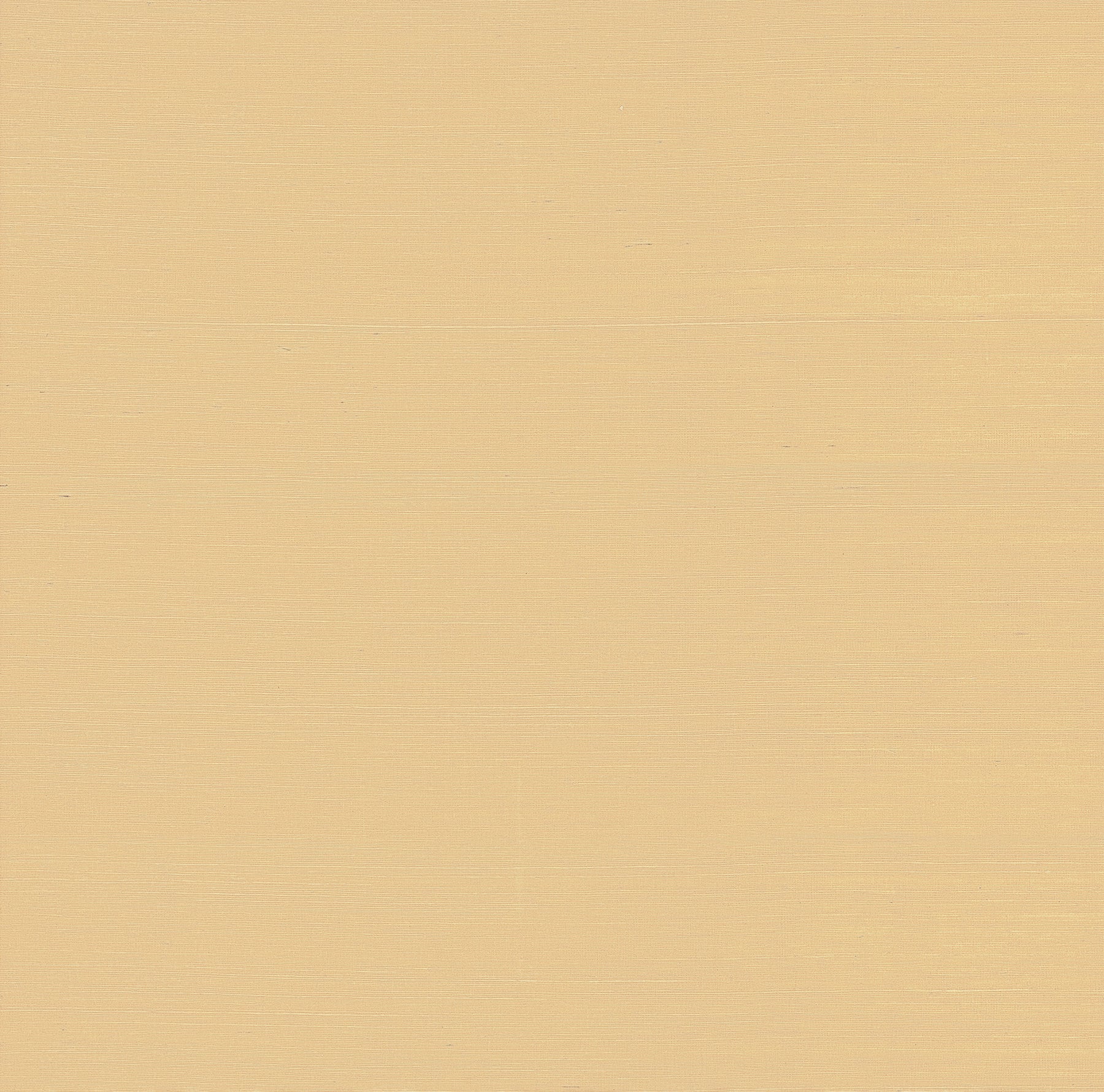 Weici Apricot Sisal Wallpaper - York Wallcoverings - 2923-88052
