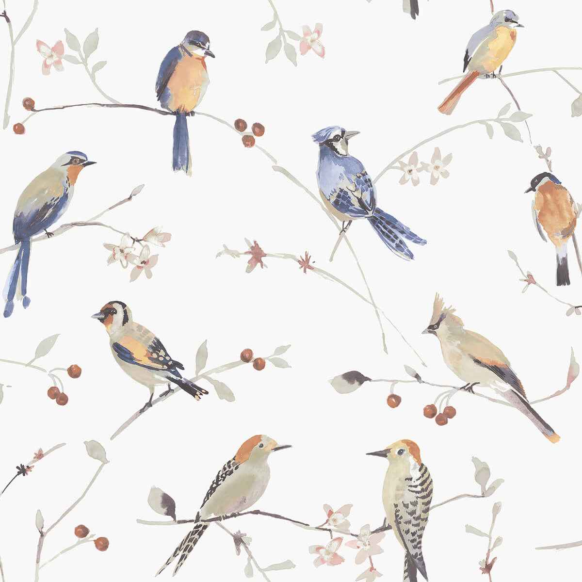 Birdsong Orange Trail Wallpaper - York Wallcoverings - 3124-13851