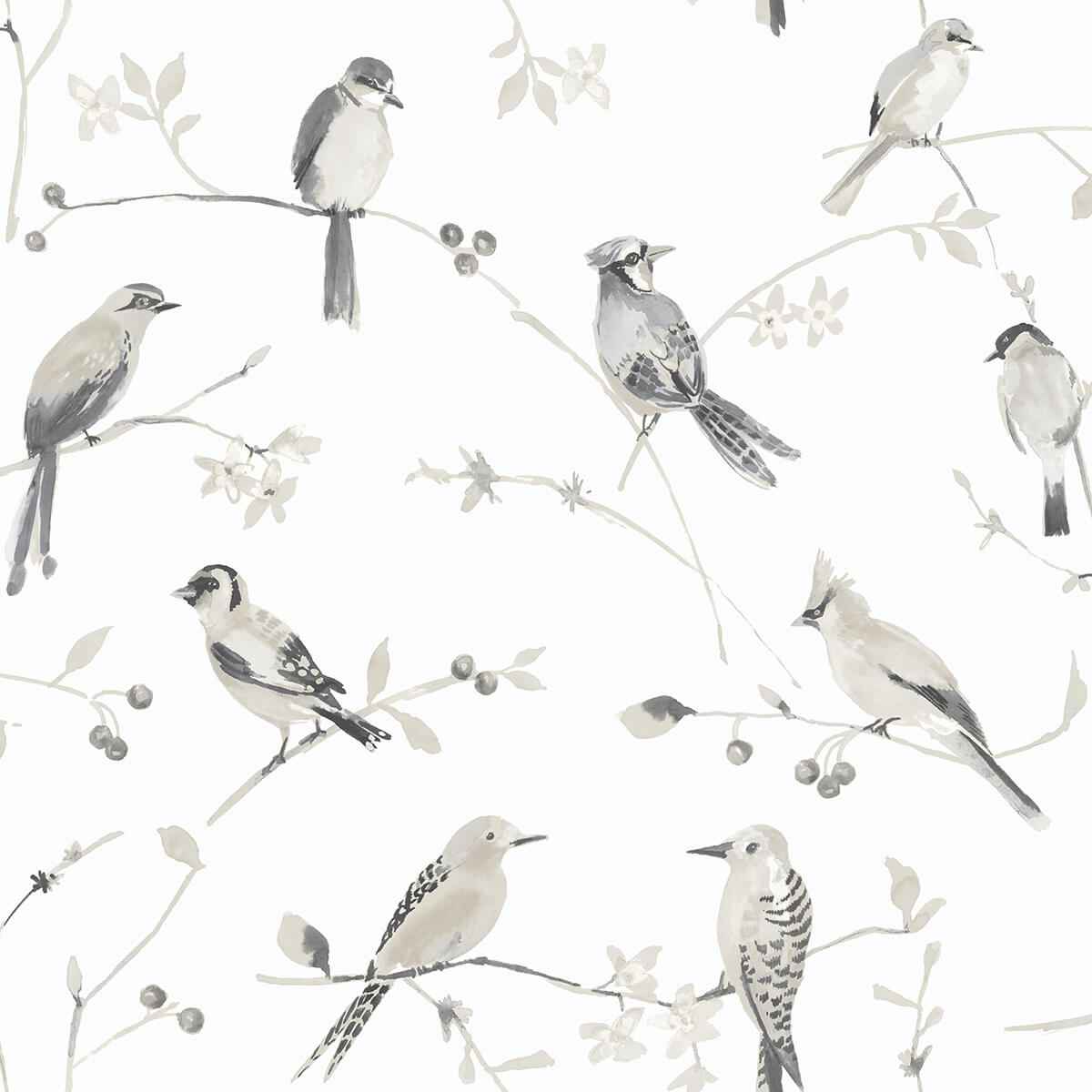 Birdsong Grey Trail Wallpaper - York Wallcoverings - 3124-13853 - York Wallcoverings Wallpaper