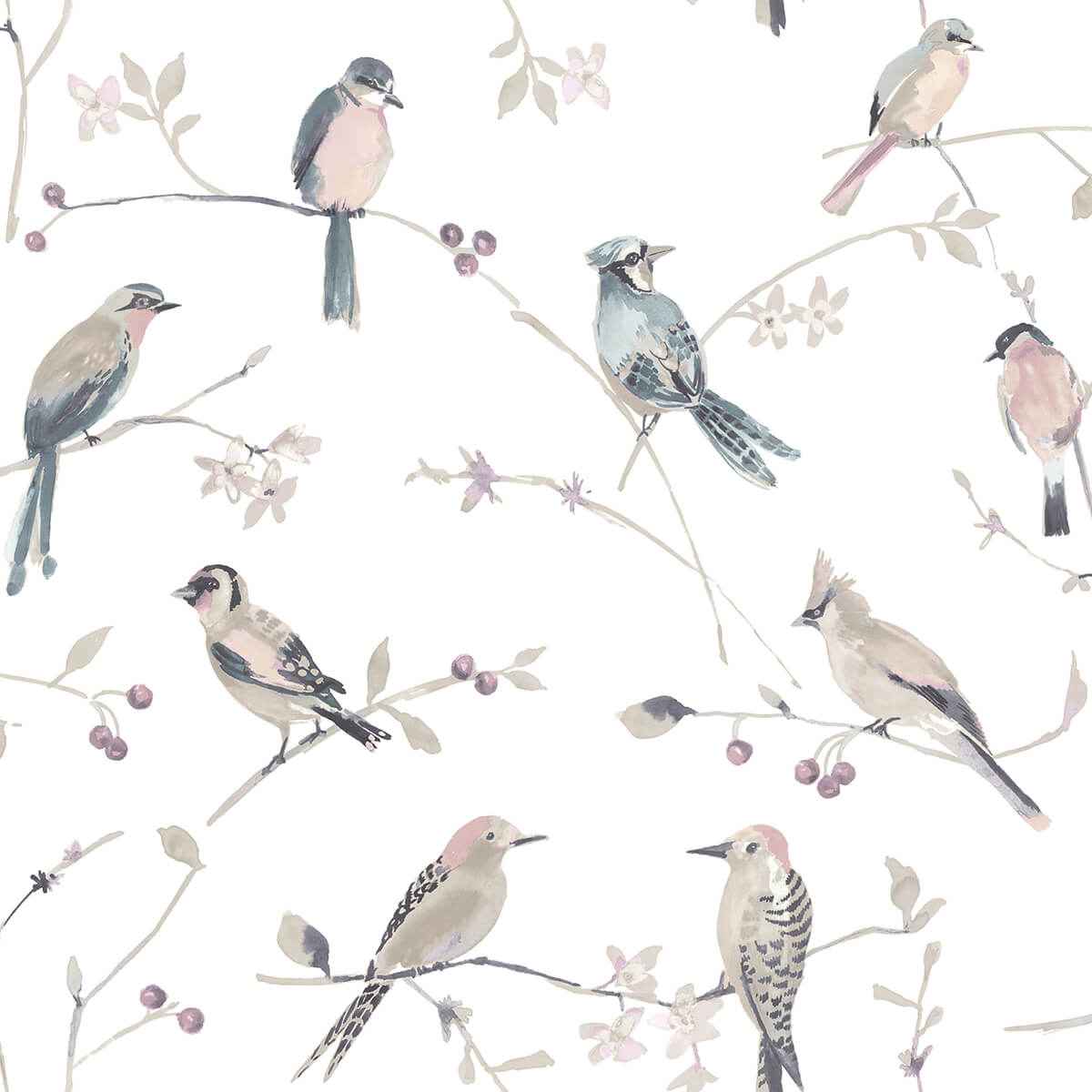 Birdsong Mauve Trail Wallpaper - York Wallcoverings - 3124-13854