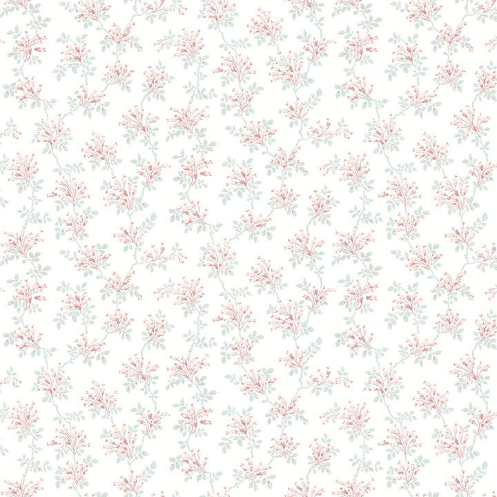 sofiane-blush-botanical-trail-wallpaper-york-wallcoverings-4072-70037