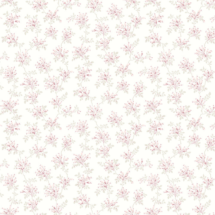 sofiane-pink-botanical-trail-wallpaper-york-wallcoverings-4072-70038