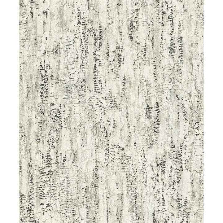 Colm Charcoal Birch Wallpaper - York Wallcoverings - 4096-554045 - York Wallcoverings Wallpaper