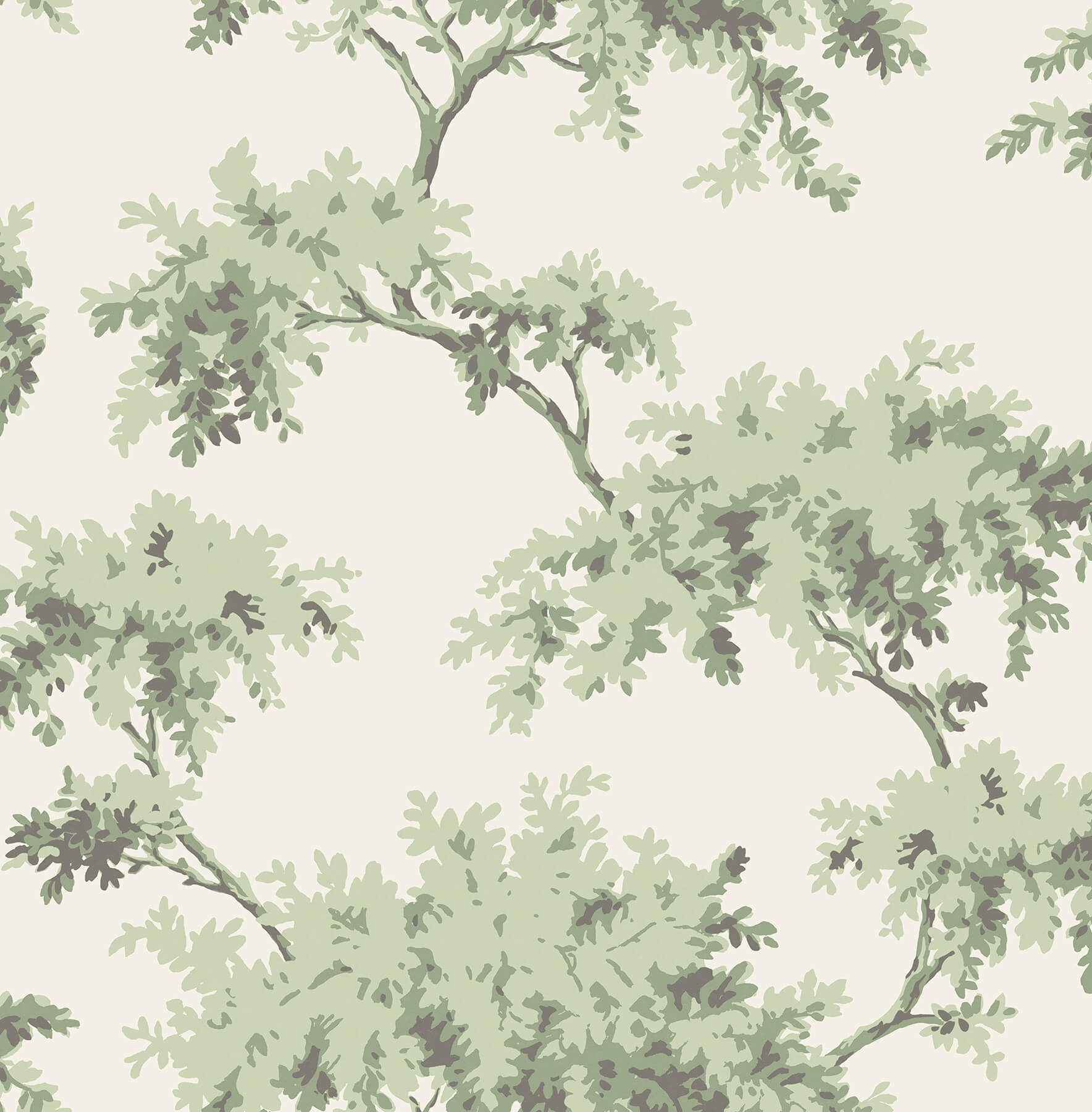 Sage Alder Peel and Stick Wallpaper - York Wallcoverings - NUS4473 - York Wallcoverings Wallpaper