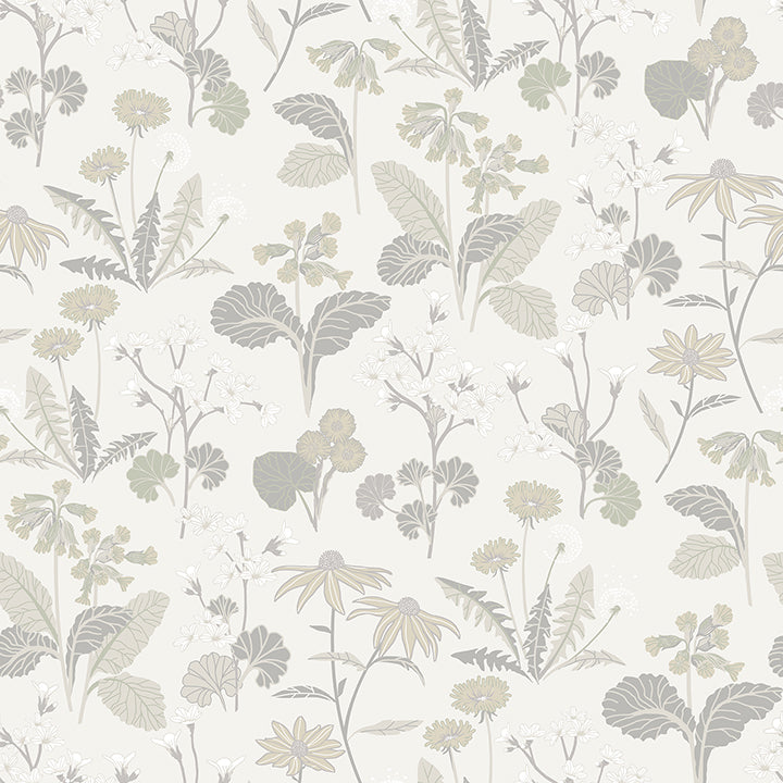 magdalena-light-grey-dandelion-wallpaper-york-wallcoverings-4080-92136