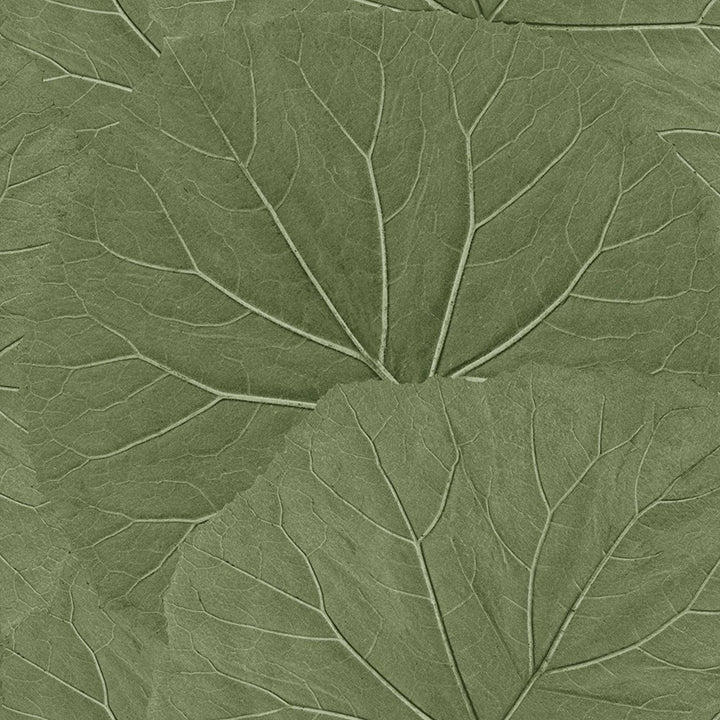 xylem-olive-large-leaves-wallpaper-york-wallcoverings-dd138995