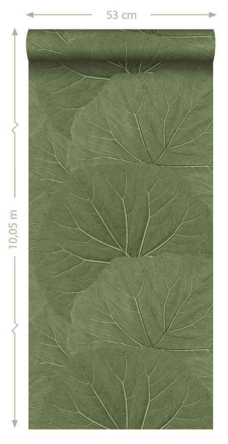 Xylem Olive Large Leaves Wallpaper - York Wallcoverings - DD138995 - York Wallcoverings Wallpaper