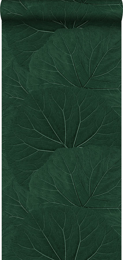 xylem-evergreen-large-leaves-wallpaper-york-wallcoverings-dd138997 - York Wallcoverings Wallpaper