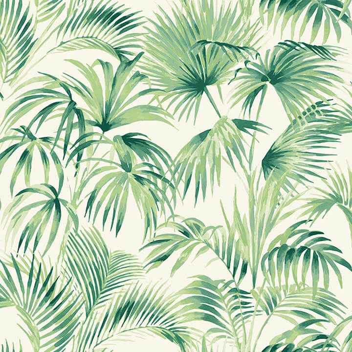 Manaus Green Palm Frond Wallpaper - York Wallcoverings - 4071-71014