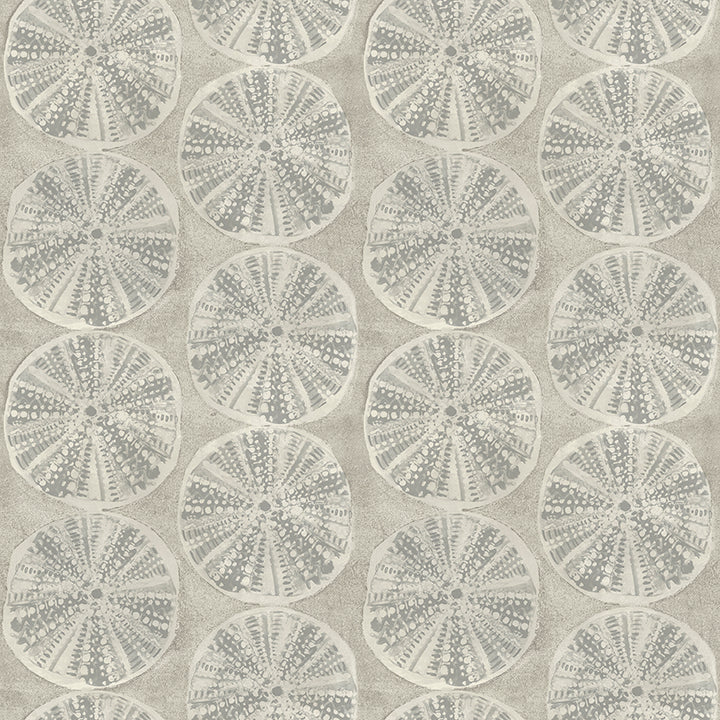 sea-biscuit-grey-sand-dollar-wallpaper-york-wallcoverings-4071-71024