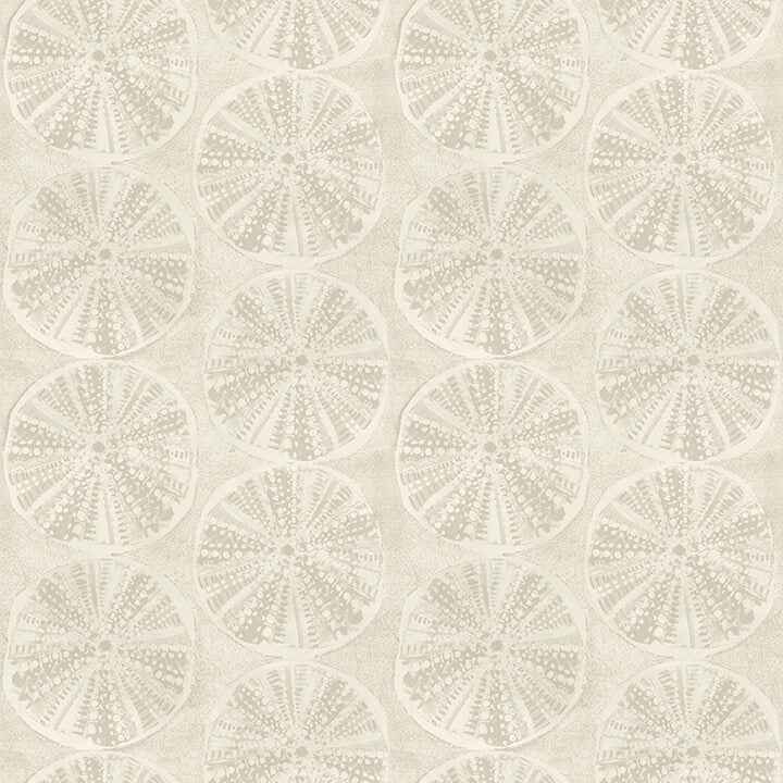 Sea Biscuit Beige Sand Dollar Wallpaper - York Wallcoverings - 4071-71027 - York Wallcoverings Wallpaper
