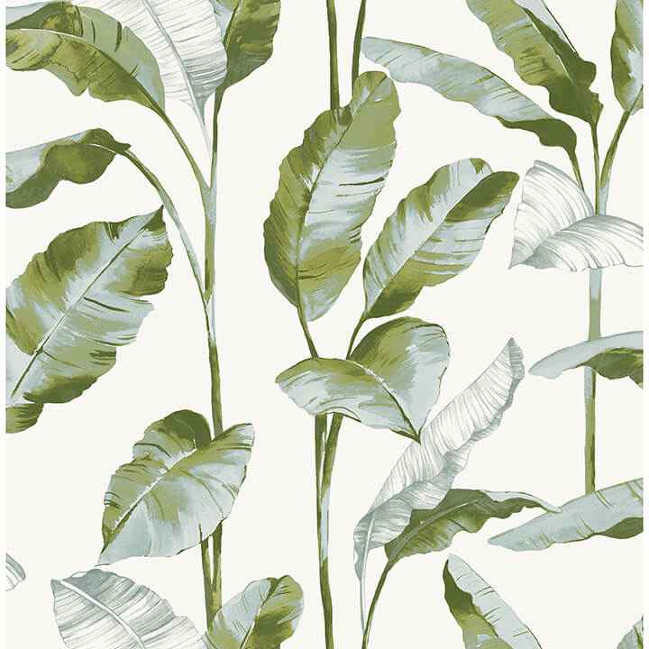 Green Banana Leaf Peel and Stick Wallpaper - York Wallcoverings - NUS4903 - York Wallcoverings Wallpaper