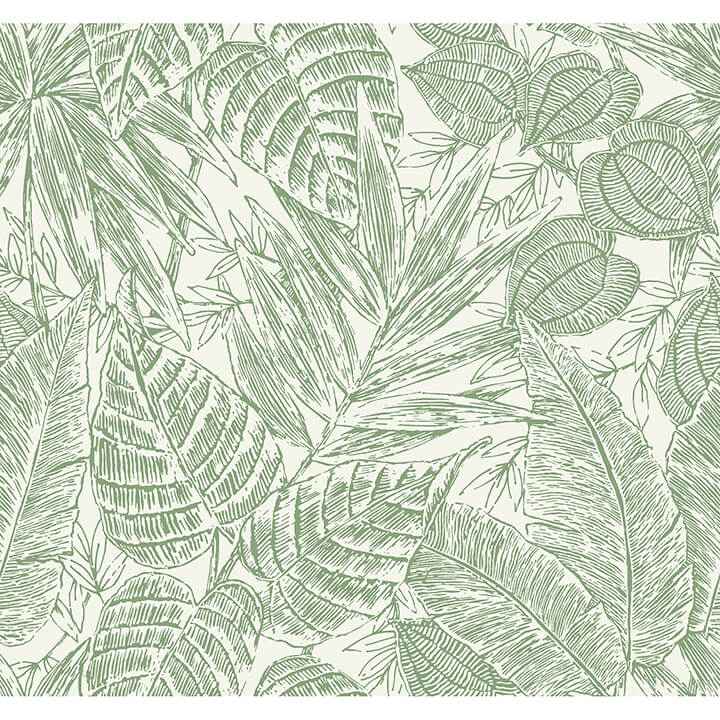 Brentwood Green Palm Leaves Wallpaper - York Wallcoverings - 4034-72116