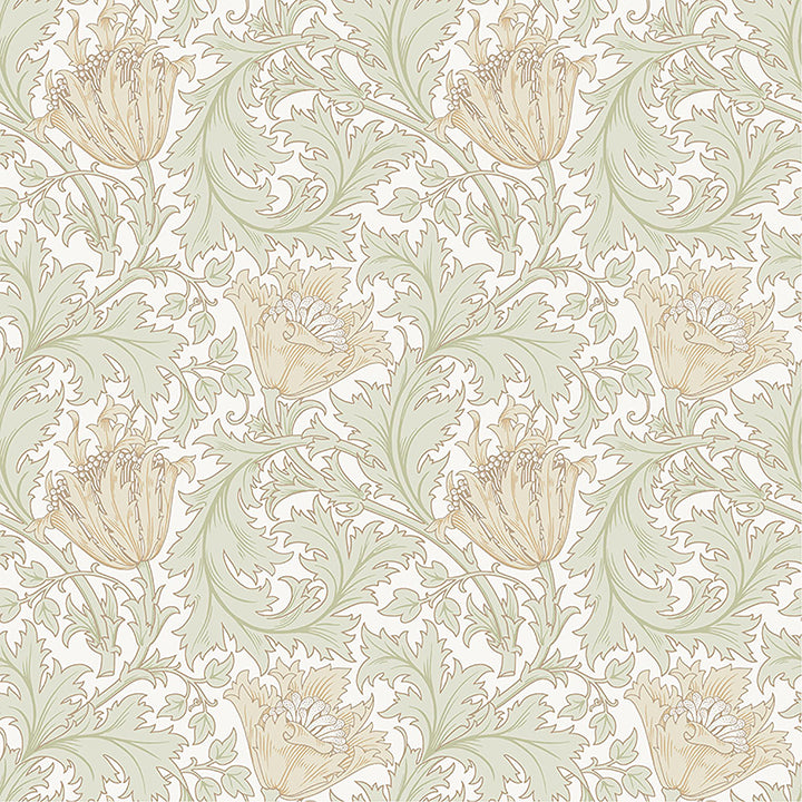 anemone-light-green-floral-trail-wallpaper-york-wallcoverings-4153-82002