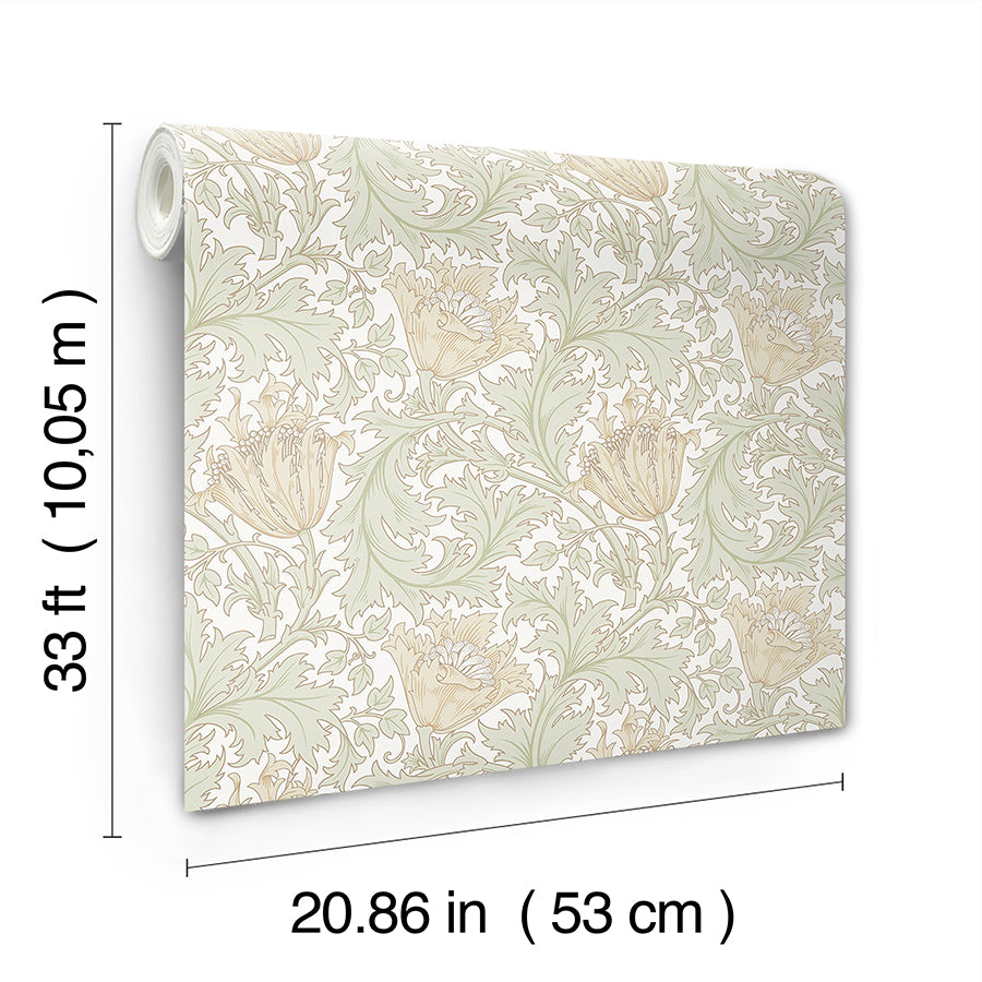 anemone-light-green-floral-trail-wallpaper-york-wallcoverings-4153-82002
