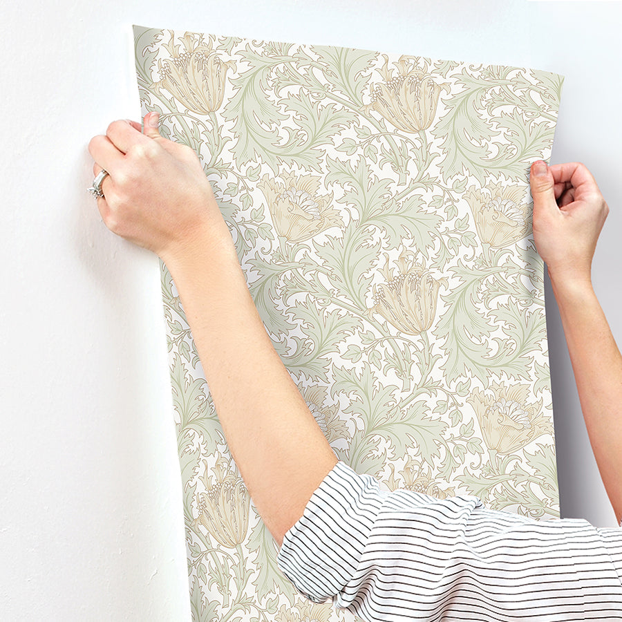 anemone-light-green-floral-trail-wallpaper-york-wallcoverings-4153-82002
