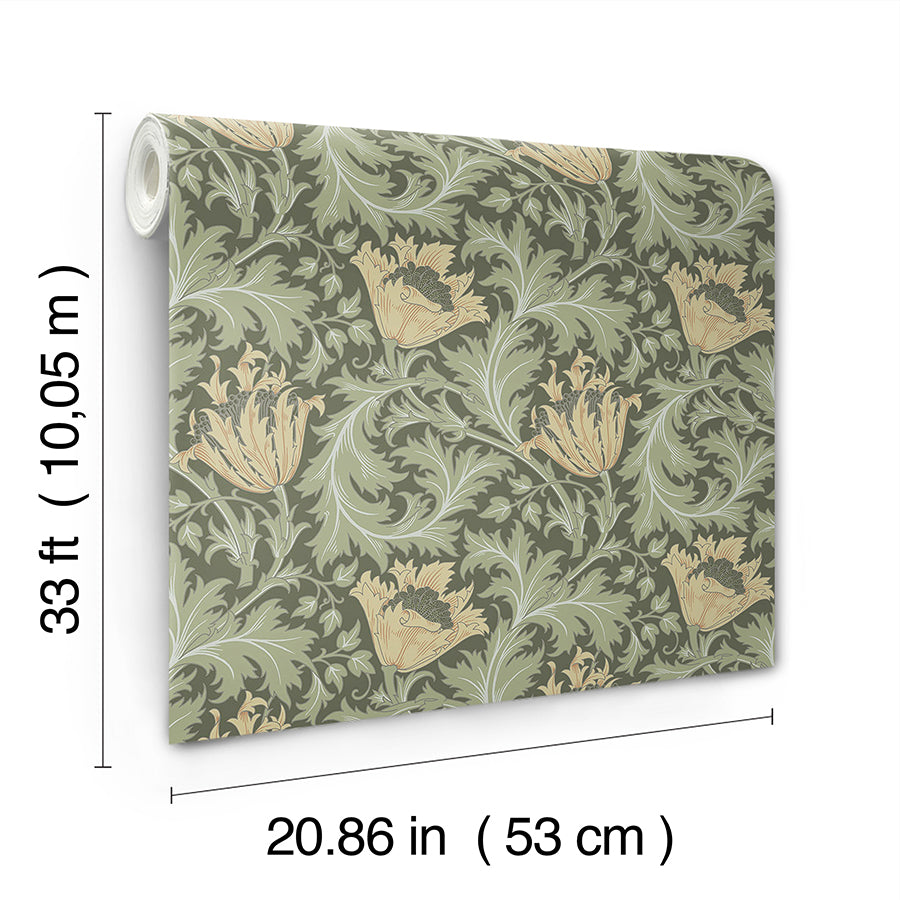 anemone-moss-floral-trail-wallpaper-york-wallcoverings-4153-82004