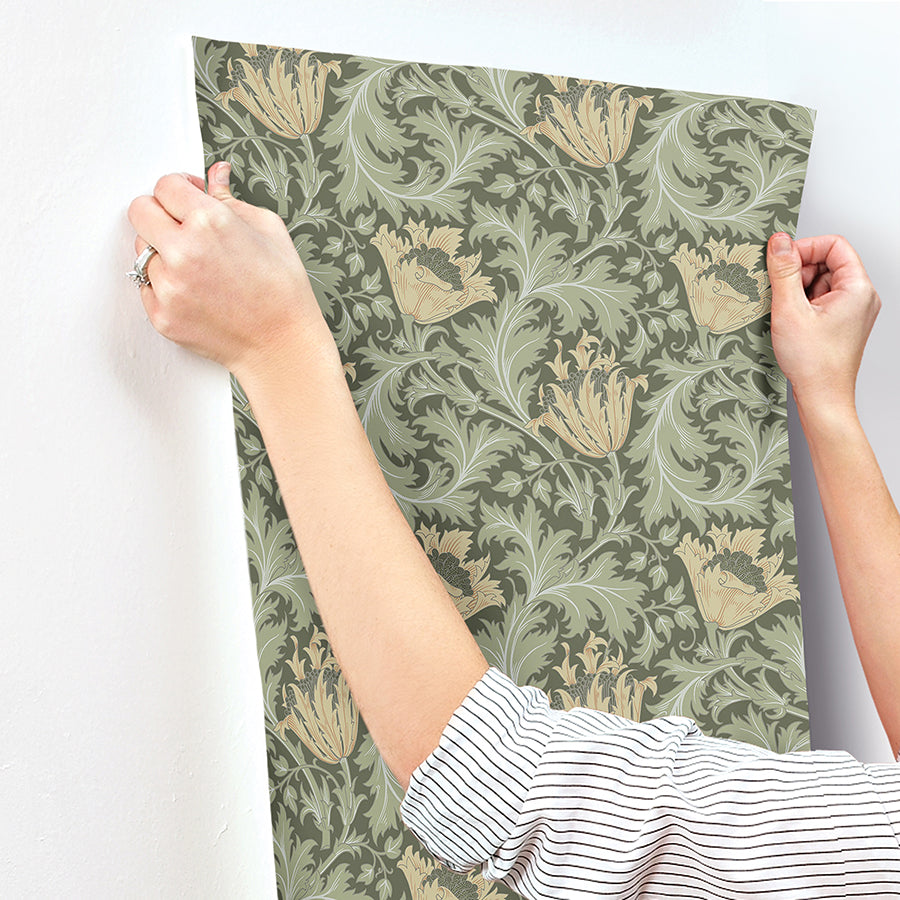 anemone-moss-floral-trail-wallpaper-york-wallcoverings-4153-82004