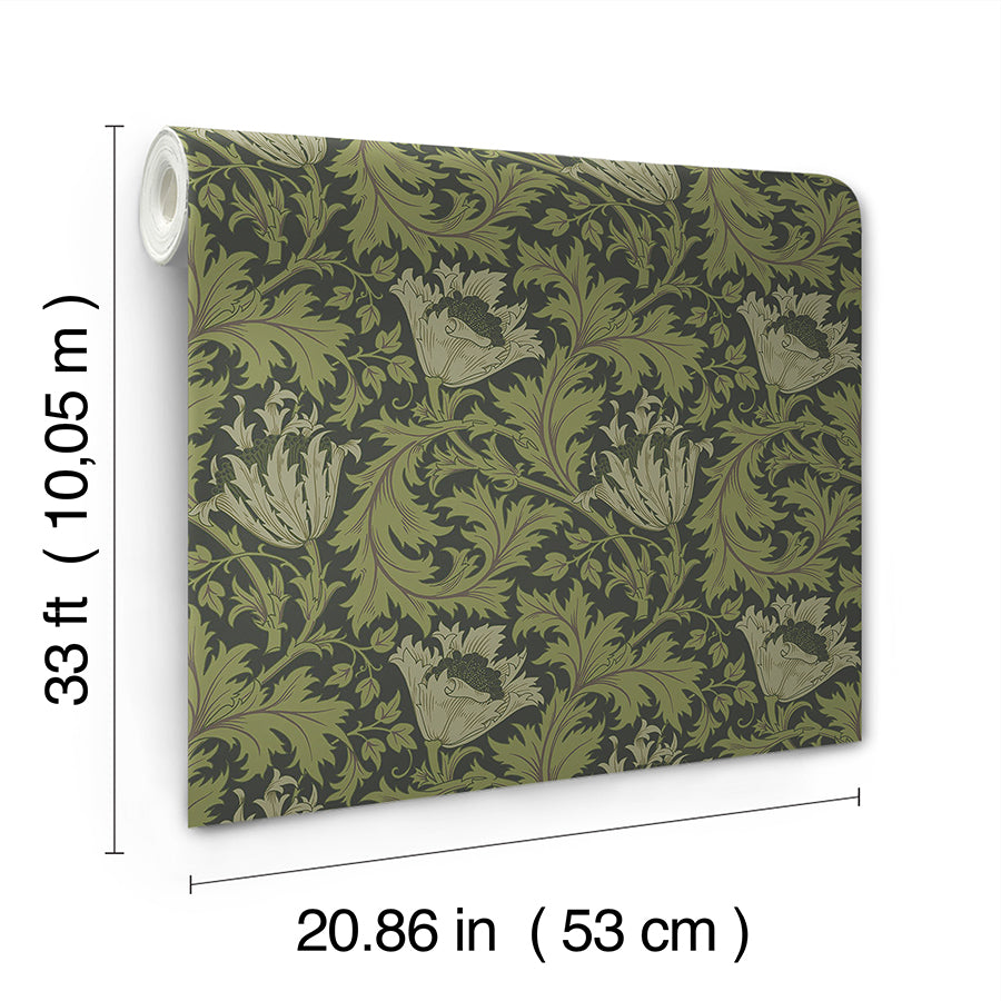 anemone-dark-green-floral-trail-wallpaper-york-wallcoverings-4153-82005