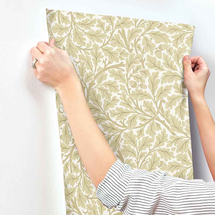 Oak Tree Light Yellow Leaf Wallpaper - York Wallcoverings - 4153-82027 - York Wallcoverings Wallpaper