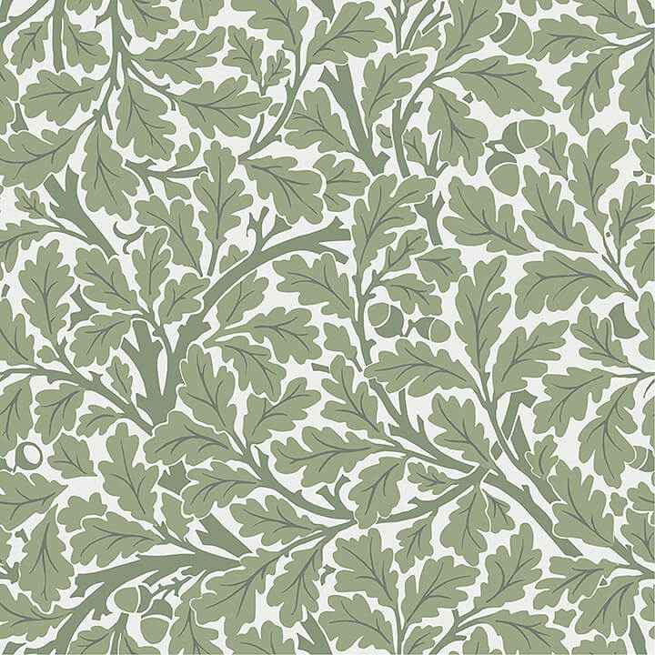 Oak Tree Green Leaf Wallpaper - York Wallcoverings - 4153-82028 - York Wallcoverings Wallpaper