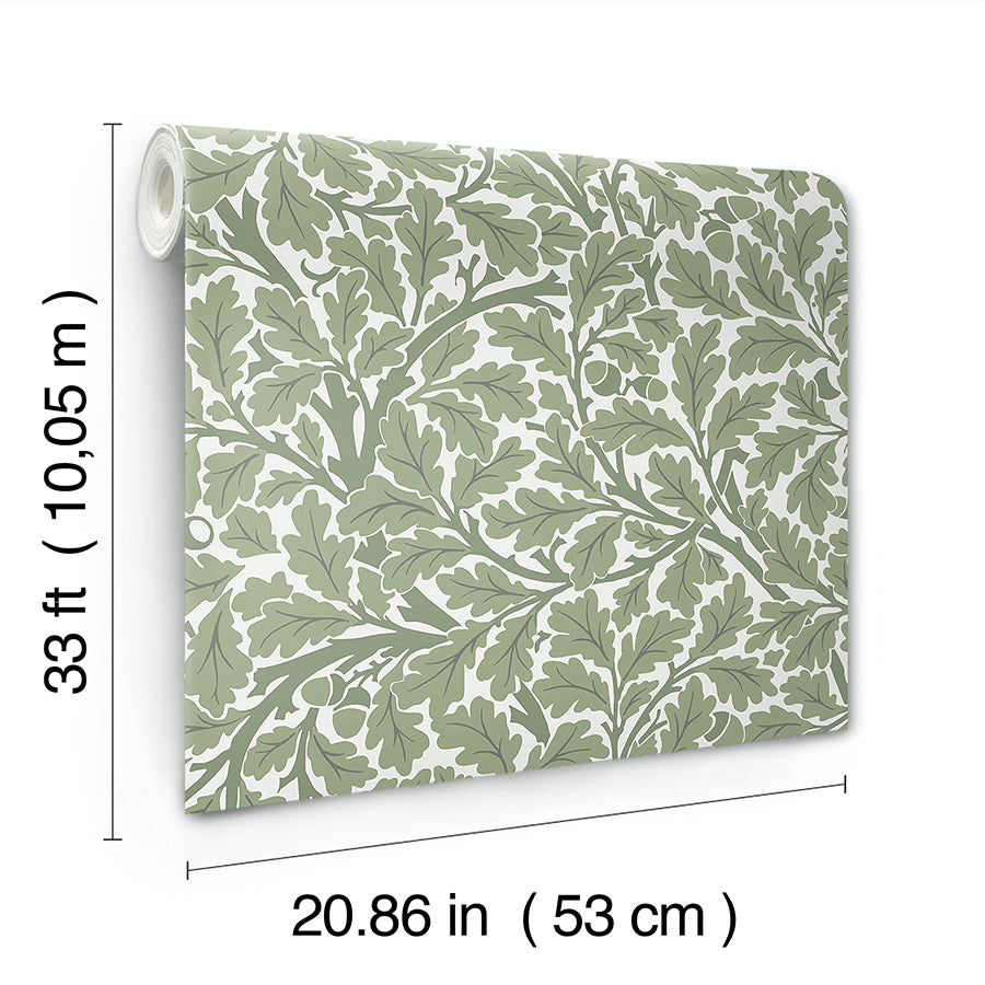 oak-tree-green-leaf-wallpaper-york-wallcoverings-4153-82028
