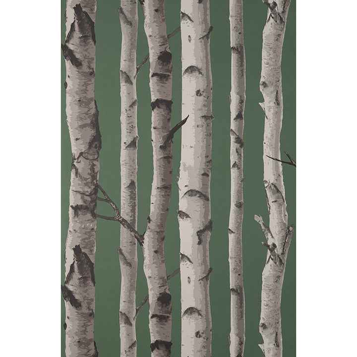 Chester Dark Green Birch Trees Wallpaper - York Wallcoverings - FD43292 - York Wallcoverings Wallpaper