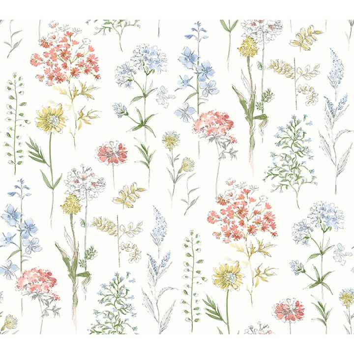 Bergamot Multicolor Wildflower Wallpaper - York Wallcoverings - 4134-72500