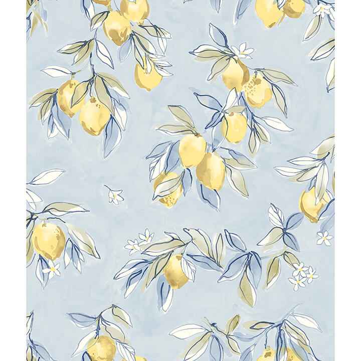 Lemonade Light Blue Citrus Wallpaper - York Wallcoverings - 4134-72506