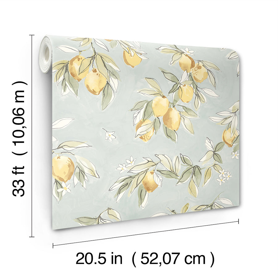 lemonade-aqua-citrus-wallpaper-york-wallcoverings-4134-72508