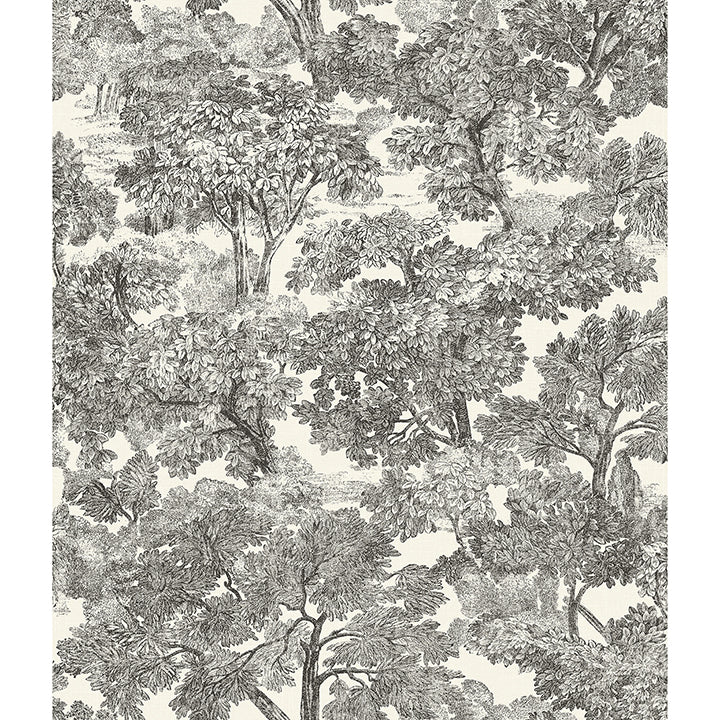 Spinney Black Toile Wallpaper - York Wallcoverings - 4134-72558 - York Wallcoverings Wallpaper