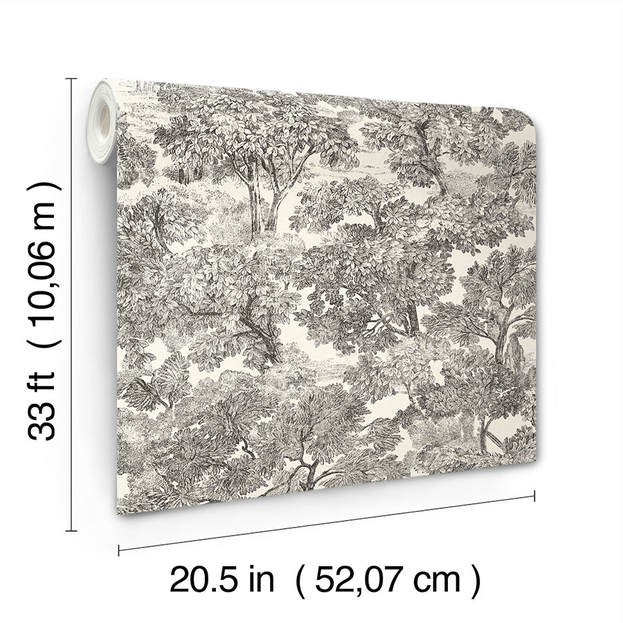 Spinney Black Toile Wallpaper - York Wallcoverings - 4134-72558 - York Wallcoverings Wallpaper