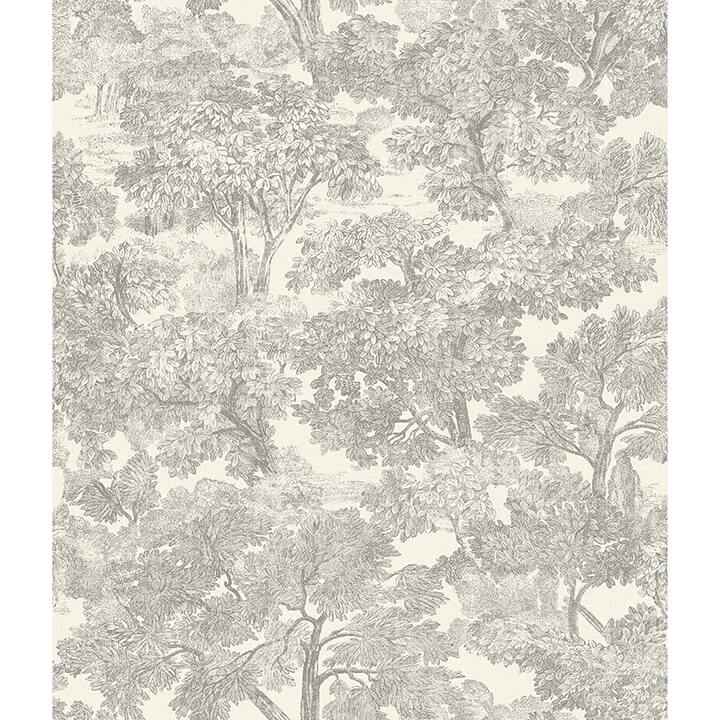 Spinney Grey Toile Wallpaper - York Wallcoverings - 4134-72560 - York Wallcoverings Wallpaper