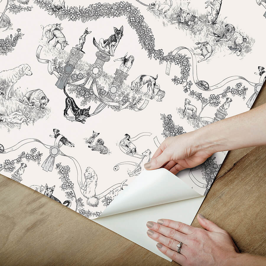 black-worst-in-show-peel-and-stick-wallpaper-york-wallcoverings-ras6260 - York Wallcoverings Wallpaper