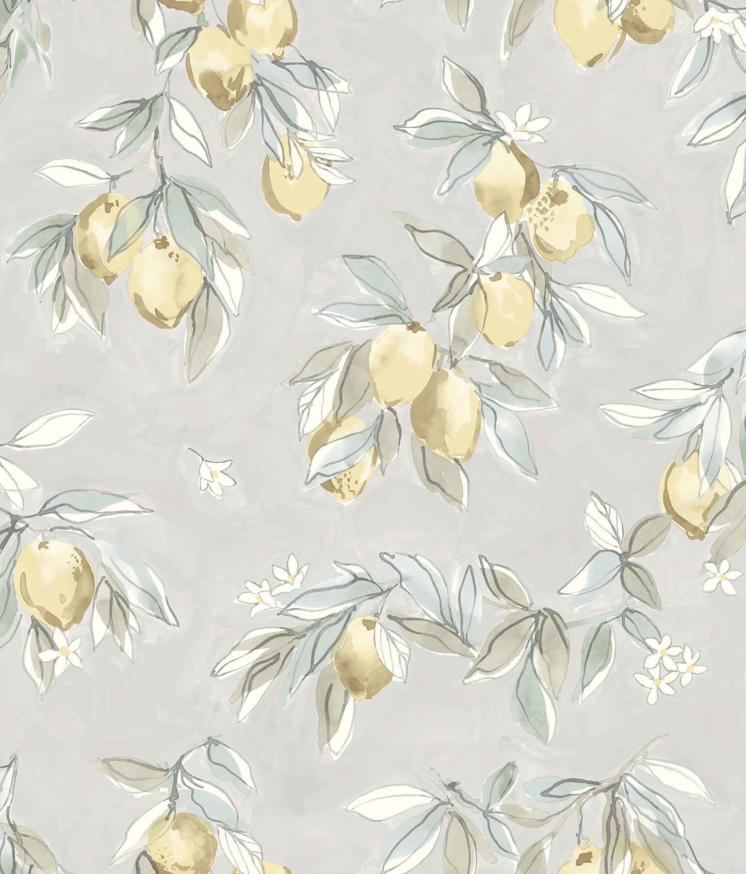 Lemonade Charcoal Citrus Wallpaper - York Wallcoverings - 4134-72509 - York Wallcoverings Wallpaper