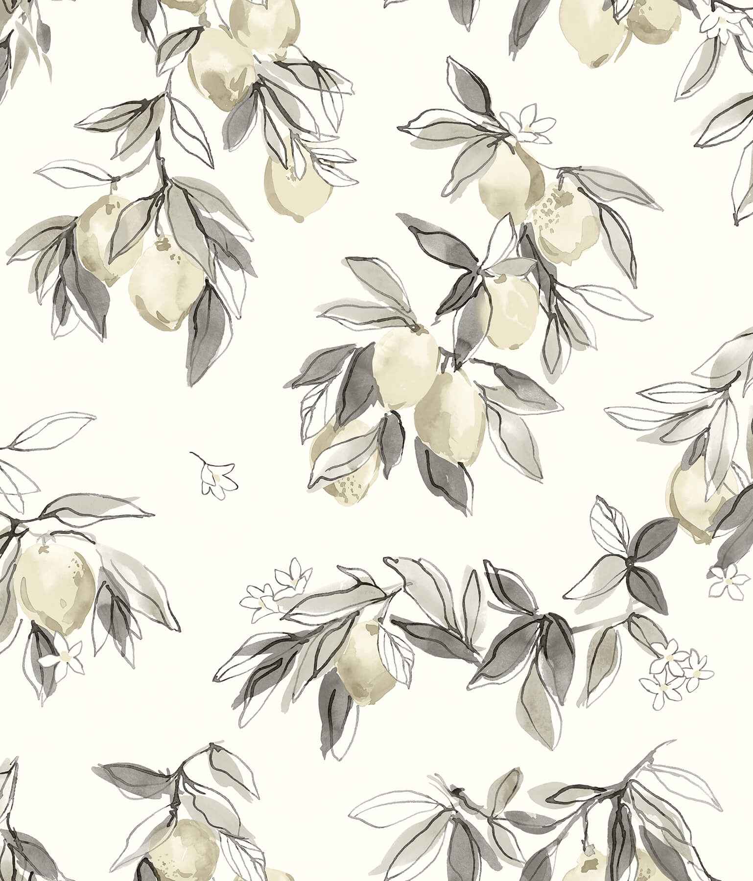 Lemonade Grey Citrus Wallpaper - York Wallcoverings - 4134-72507 - York Wallcoverings Wallpaper