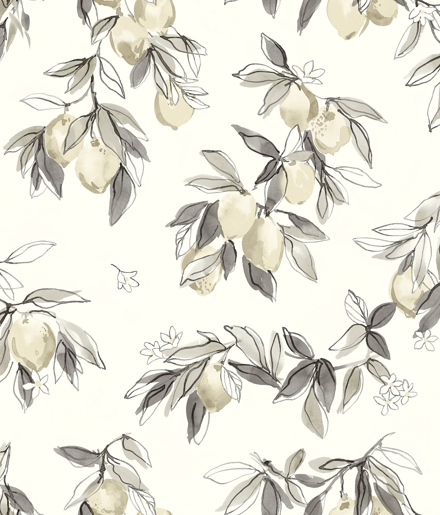 lemonade-charcoal-citrus-wallpaper-york-wallcoverings-4134-72509